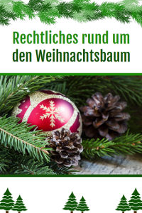 weihnachtsbaum-e-book-bussgeld-info