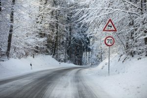 Vermeiden Sie es, im Wald einen Weihnachtsbaum illegal selber zu schlagen. Sonst wird es schnell teuer.