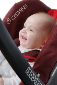 Babyschalen als Schutz für den Nachwuchs