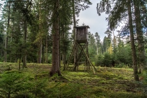 Sie dürfen nur Waldwege befahren, wenn dies einem zulässigen Zweck dient.