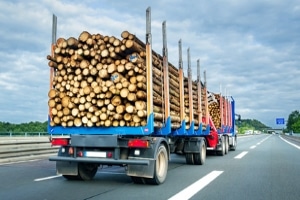 Wie viele Tonnen Zuladung sind beim Lkw erlaubt?