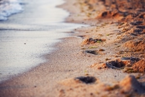 Vorschriften in Deutschland: Welche Muscheln darf ich mitnehmen?