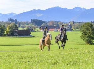 Nachdem Sie am Meer reiten waren, gönnen Sie sich und ihrem Ross eine Auszeit!