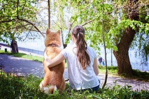 Hundestrand: In Kroatien müssen die Fellnasen dort keine Leine tragen.