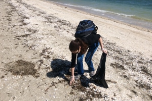 Helfen Sie mit: Müll am Strand sammeln können Sie allein oder z. B. beim NABU, der öfter entsprechende Aktionen anbietet.