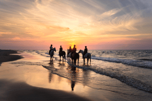 Reiten am Meer: an Nordsee, Ostsee oder anderen Gewässern finden auch die Pferde eine Abkühlung.