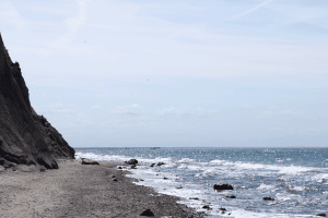 Warum sind Strandmuscheln an der Ostsee nicht immer erlaubt?