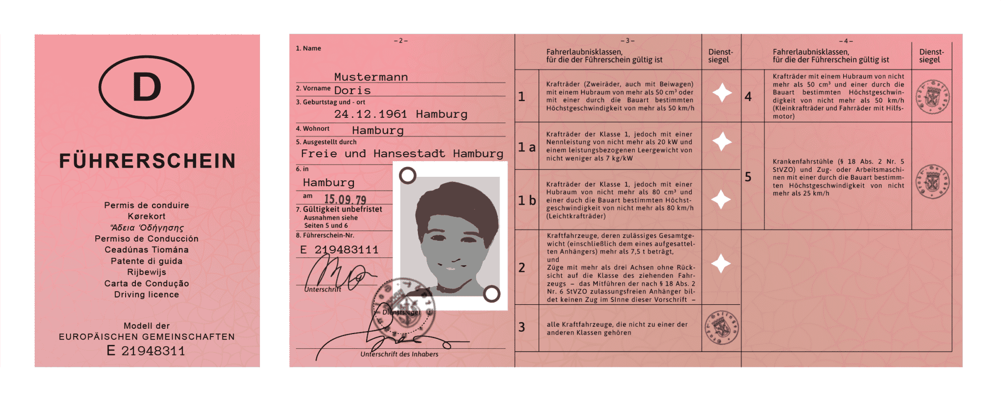 Rosa Führerschein - Informationen zum Führerschein 2024