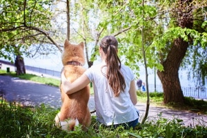 Wer Hunde im Wald unerlaubt frei laufen lässt, muss mit Bußgeldern rechnen.