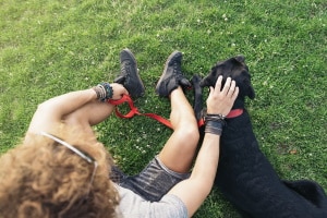 Für Hunde gilt eine Leinenpflicht im Wald immer dann, wenn dies in Landeswaldgesetz bestimmt ist.