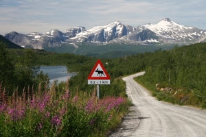 Ein Tempolimit ist in Norwegen auf allen Straßen zu beachten.