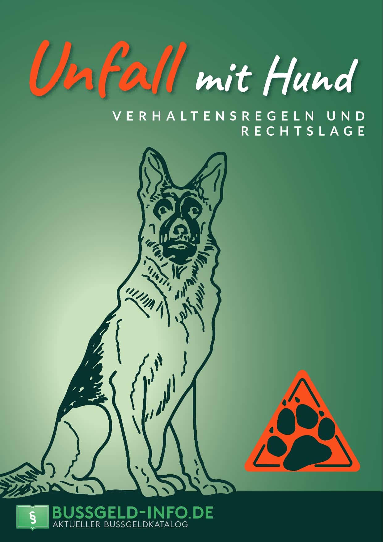 Unfall mit Hund E-Book