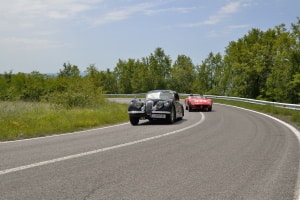 Auch Markierungen können als Verkehrszeichen ein Überholverbot anordnen.