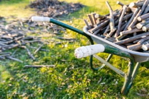 Darf man im Wald Holz sammeln?