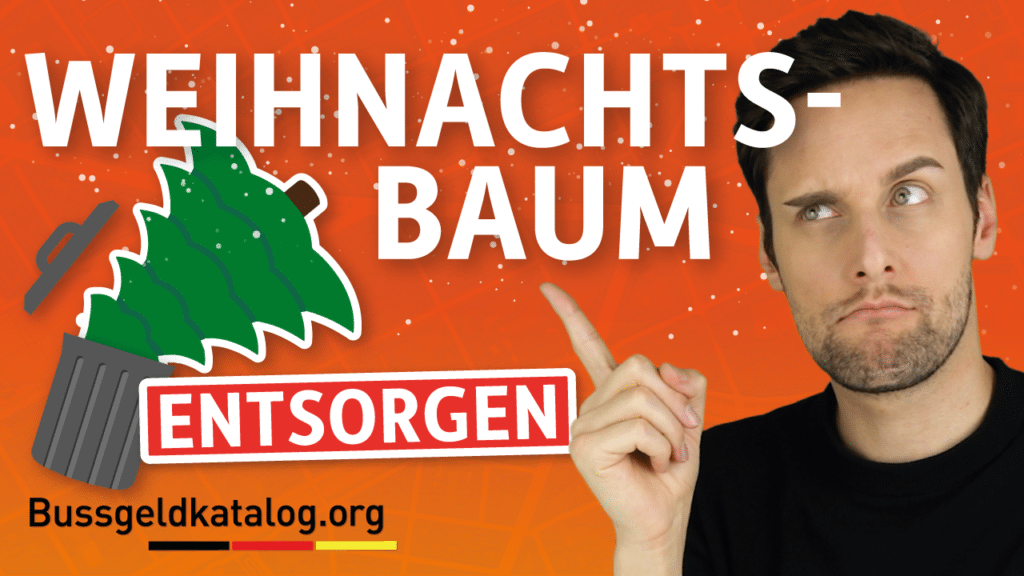 Video: So transportieren Sie Ihren Weihnachtsbaum richtig!
