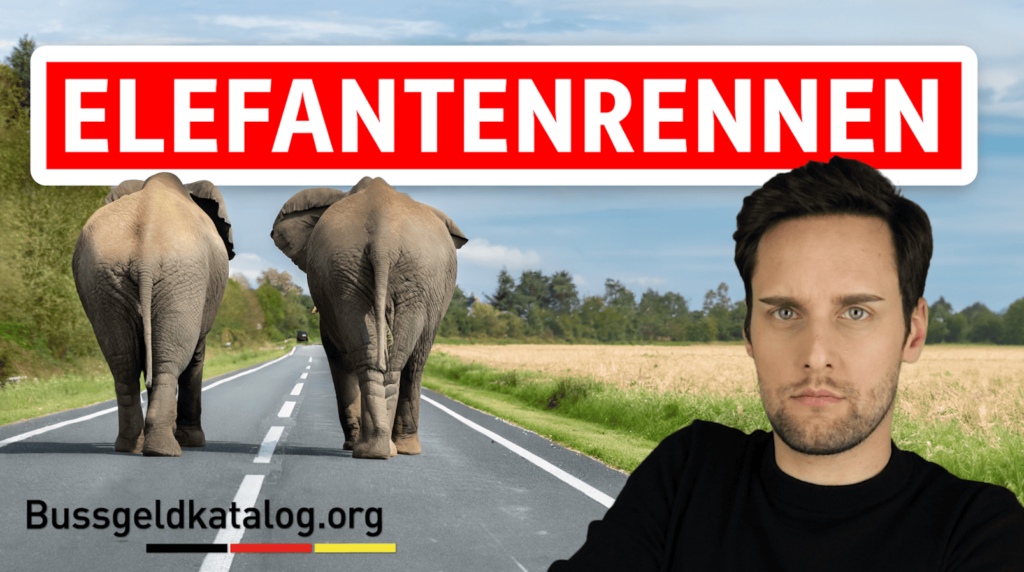 Video: Elefantenrennen auf der Autobahn